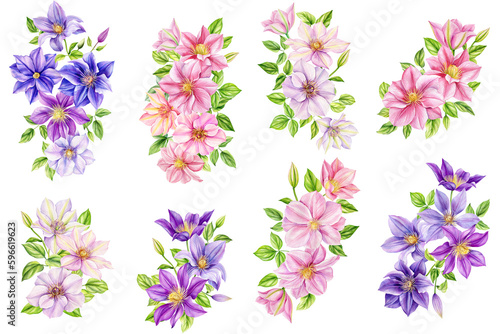 Clematis flowers  bouquet on isolated background  watercolor botanical painting. Flora for Wallpaper  Print  Fabric  