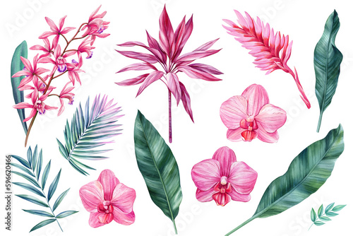 Fototapeta Naklejka Na Ścianę i Meble -  Tropical pink flowers, leaves and plants on a white background. Botanical set of watercolor illustrations hand painted