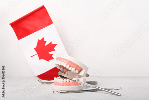 Jaw model with dental tools...