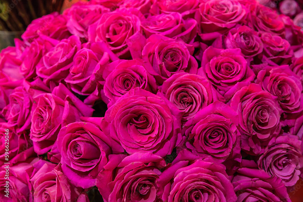 close-up roses texture natural background in pink tones close-up roses texture natural background in pink tones