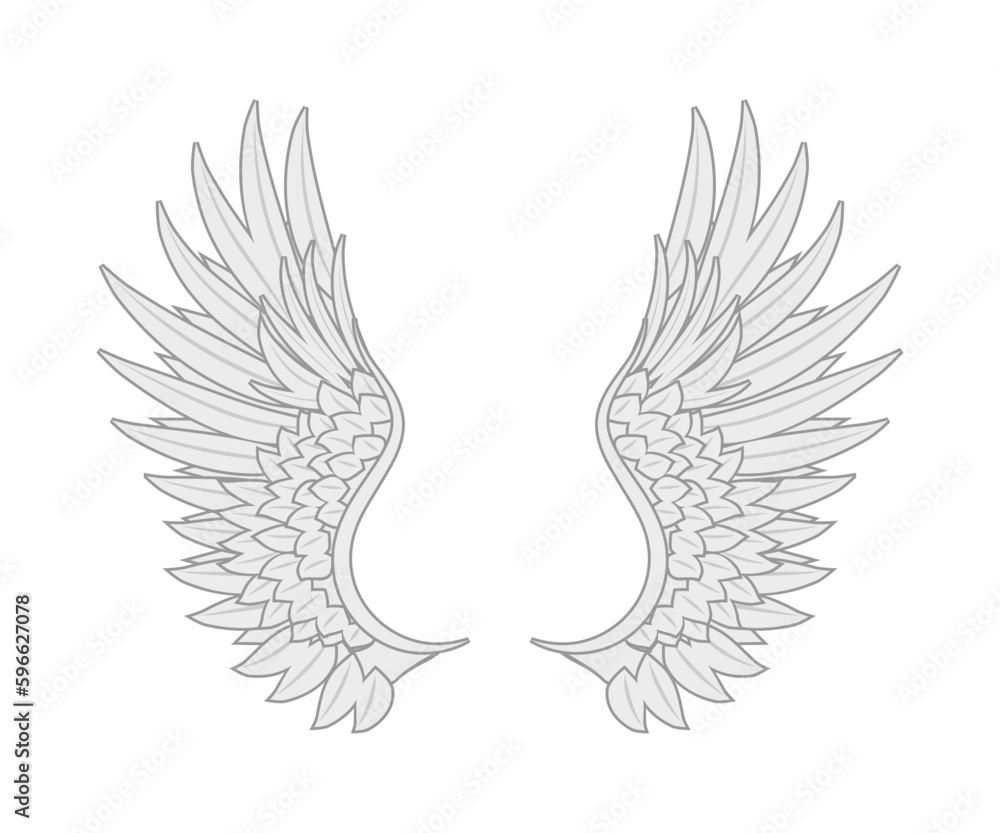 white angel wings many feathers beauty. vector new