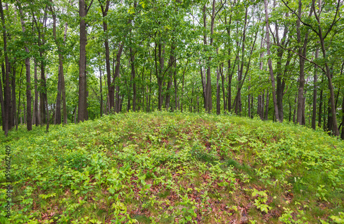 Burial Mounds at Effigy Mounds National Monument © Zack Frank