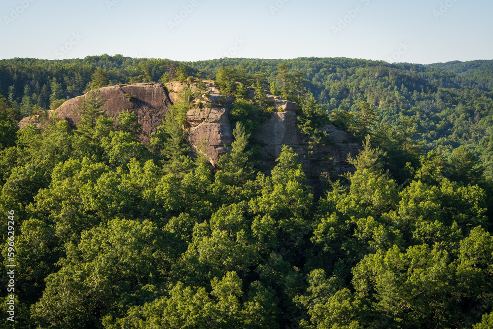Naklejka premium The Red River Gorge Geological Area in Kentucky