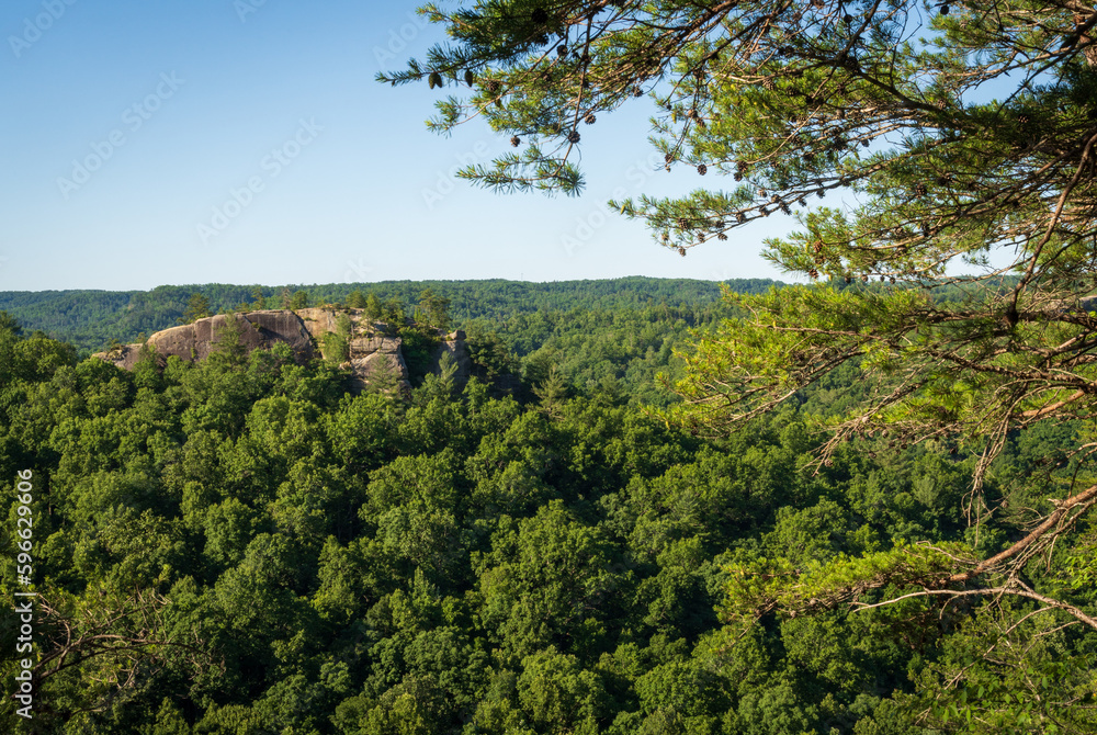 Obraz premium The Red River Gorge Geological Area in Kentucky