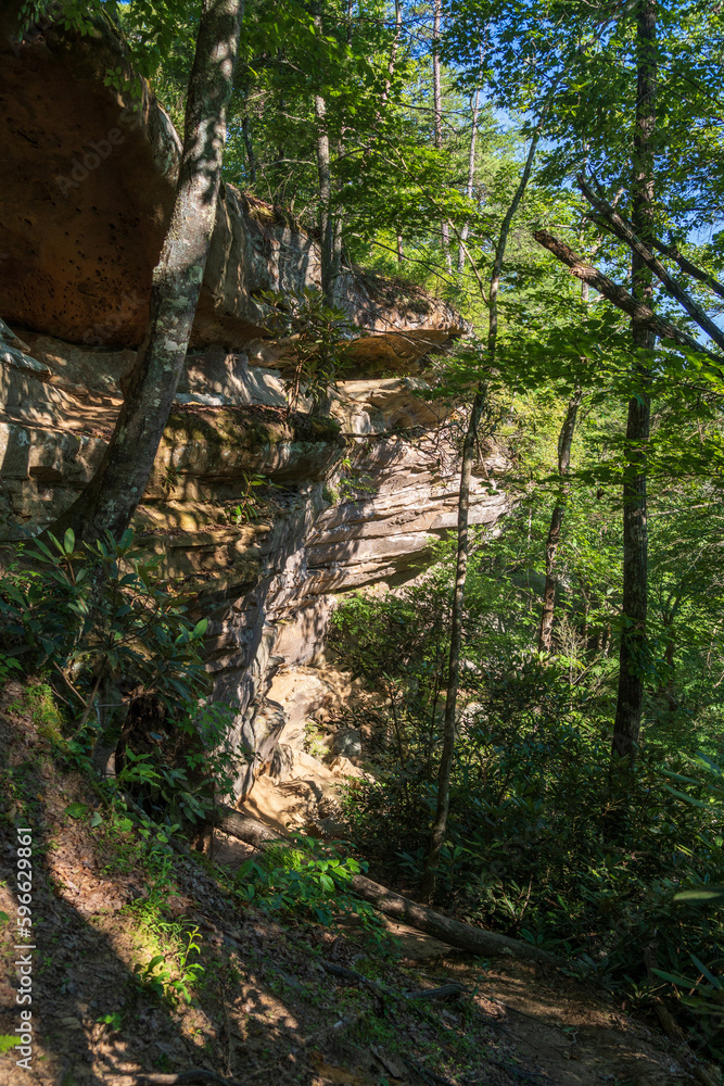 The Red River Gorge Geological Area in Kentucky The Red River Gorge Geological Area in Kentucky
