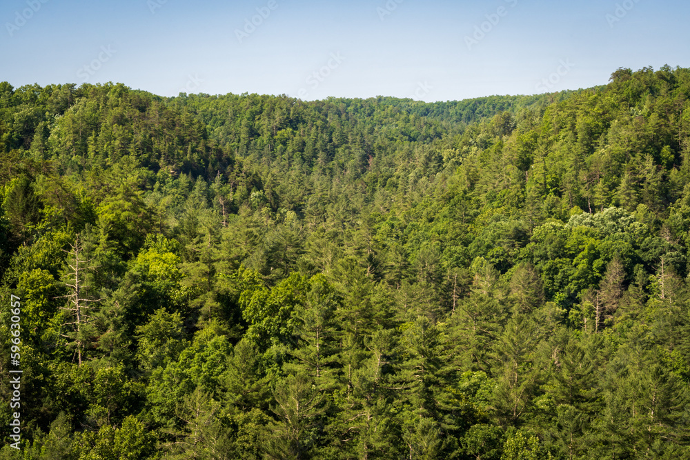 The Red River Gorge Geological Area in Kentucky The Red River Gorge Geological Area in Kentucky