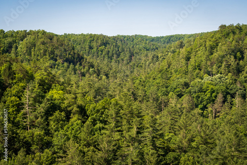 The Red River Gorge Geological Area in Kentucky