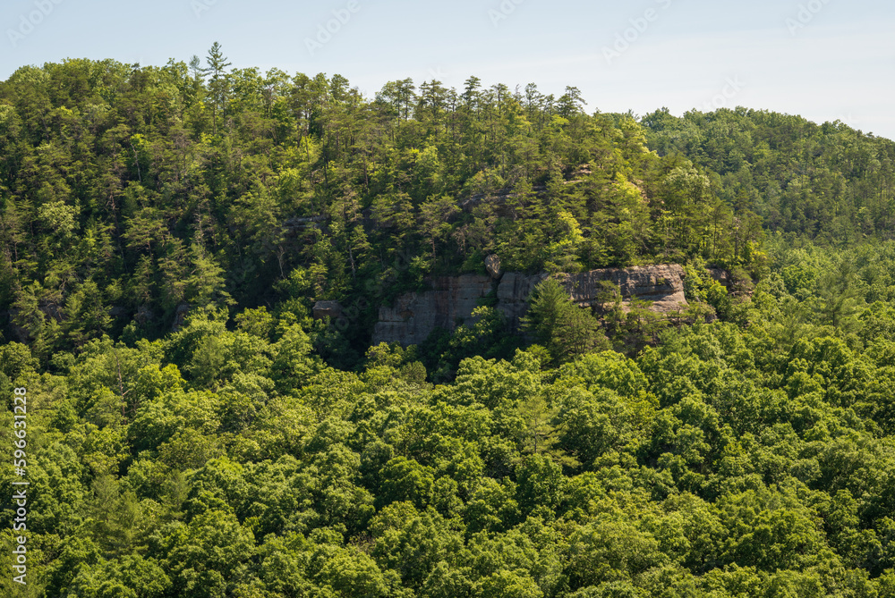 Obraz premium The Red River Gorge Geological Area in Kentucky