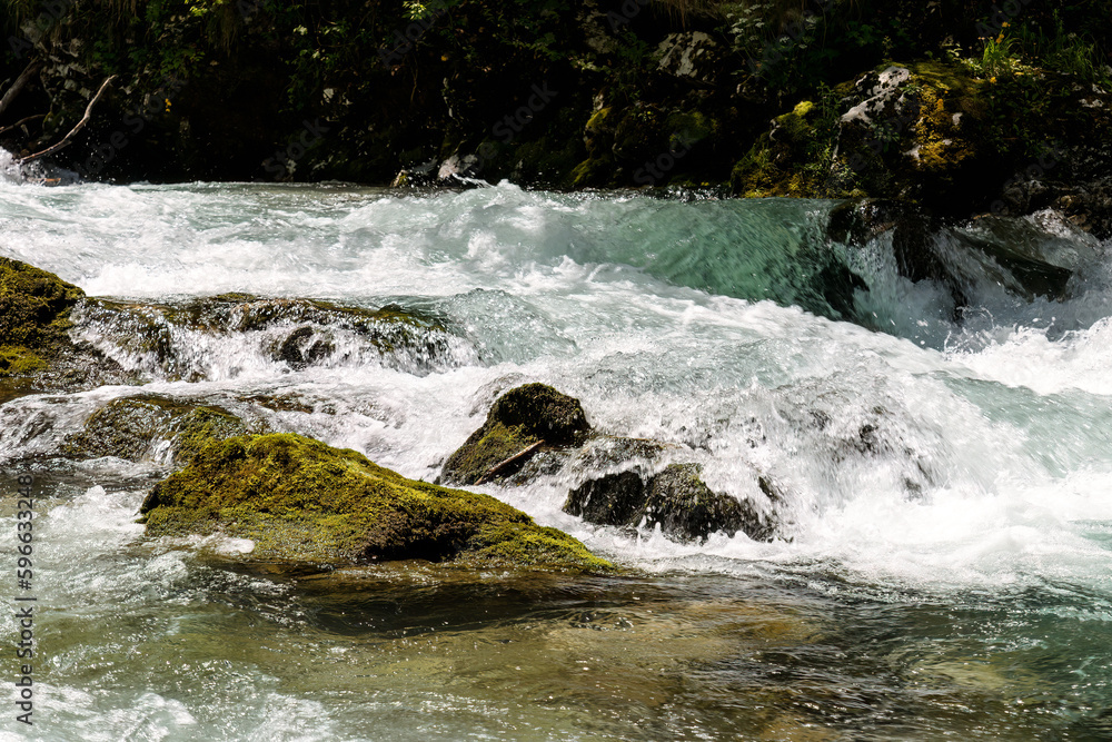 Fototapeta premium Vintgar Gorges near Bled in Slovenia