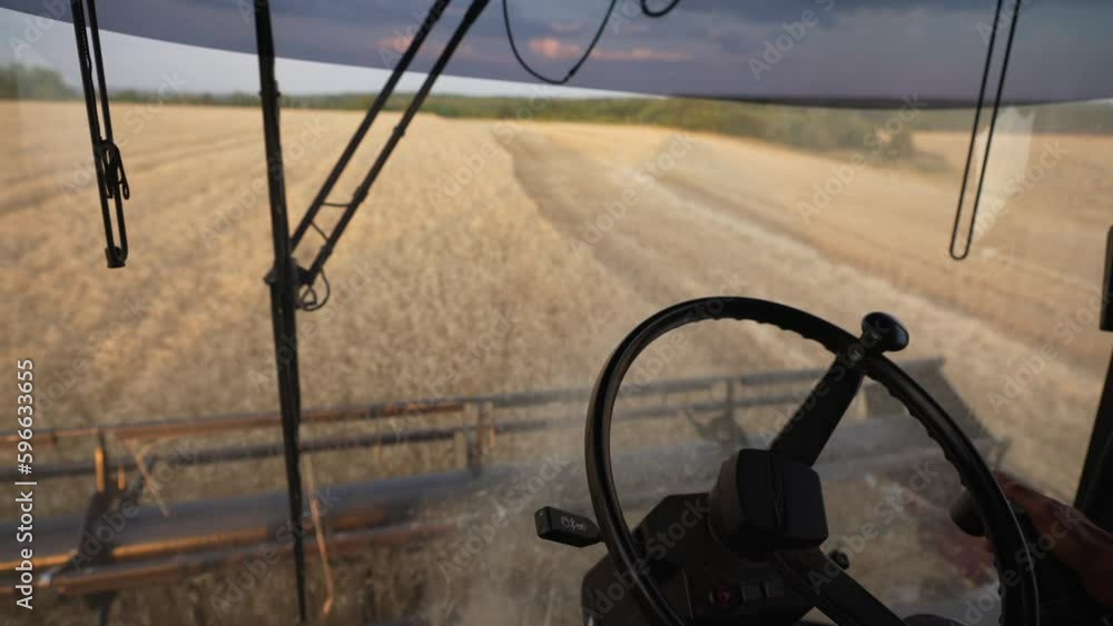 Man farm worker driving combine and harvesting wheat on field, hands on steering wheel. Autumn work on farm, harvesting using modern agricultural machinery. View from combine cabin. Food production. Man farm worker driving combine and harvesting wheat on field, hands on steering wheel. Autumn work on farm, harvesting using modern agricultural machinery. View from combine cabin. Food production.