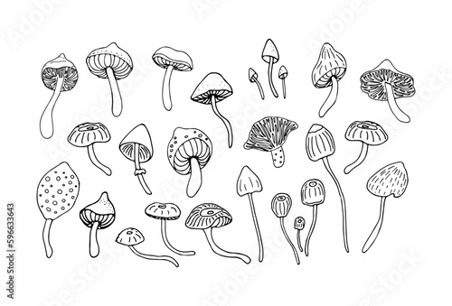 Black and white sketch of forest mushrooms. Set of cartoon or doodle style forest mushrooms. Vector illustration.