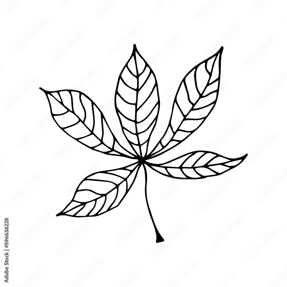 Chestnut leaf in hand drawn style on an isolated white background. Chestnut leaf in hand drawn style on an isolated white background.