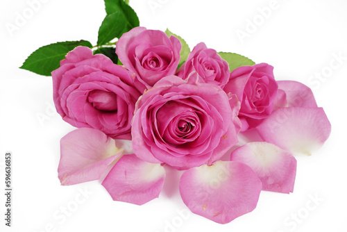 Pink Roses flowers bouquet isolated on white background. Closeup. © lesslemon
