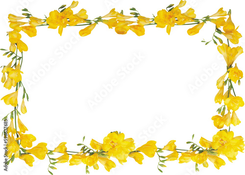 Colorful wild flower background with watercolor