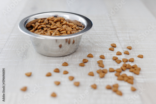 Dry pet food in feeding bowl on wooden floor