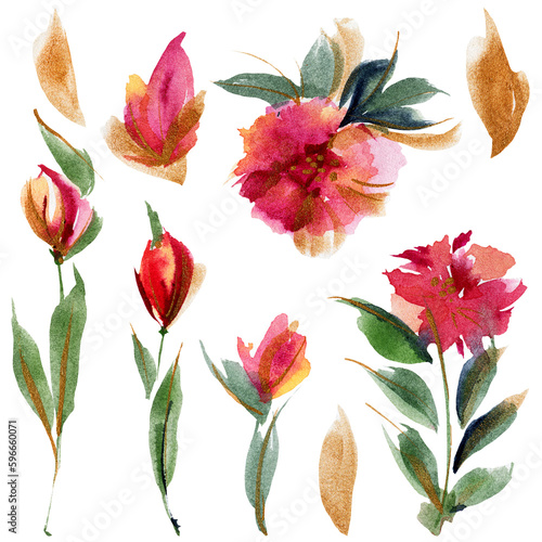 Watercolor pink peony flowers and leaves. A floral elements for ditsy bright decorations.