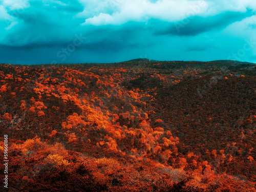 autumn hills background