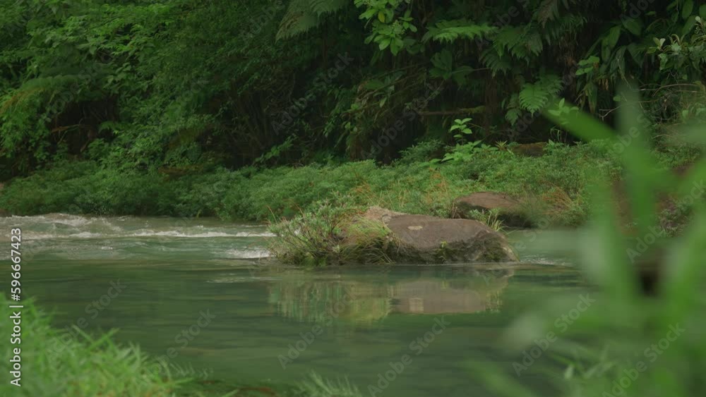 Serene water flowing in tropical river of Rio Celeste in Costa Rica Serene water flowing in tropical river of Rio Celeste in Costa Rica