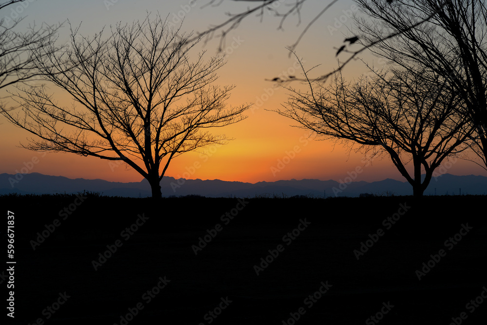 Beautiful sunset silhouette.