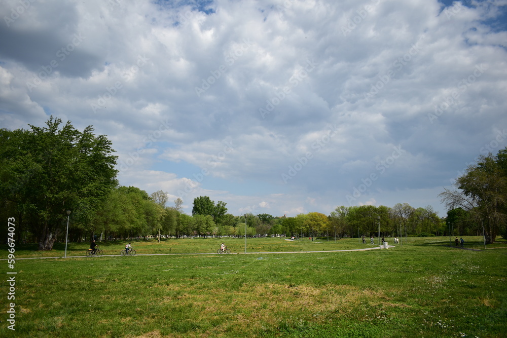 grass field in the park in spring 