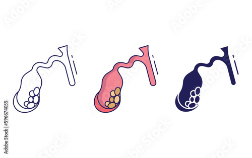 gallbladder disease vector icon