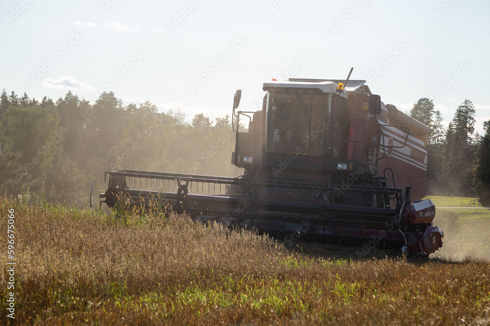 Harvesting with combines Harvesting with combines