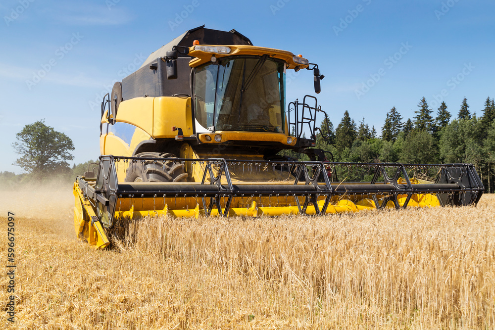 Obraz premium Harvesting with combines