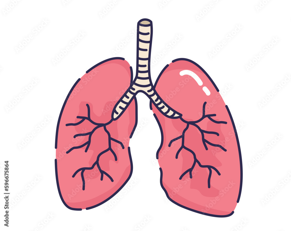 Lungs vector Lungs vector