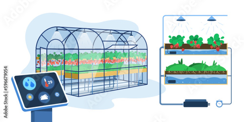 Flat greenhouse with smart innovation technology for growing or automation watering plants. Agricultural cultivation, hydroponic gardening system with control digital device. Farm industry concept.