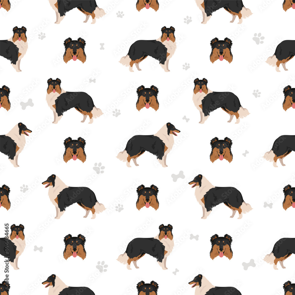 Rough collie seamless pattern. Different poses, coat colors set