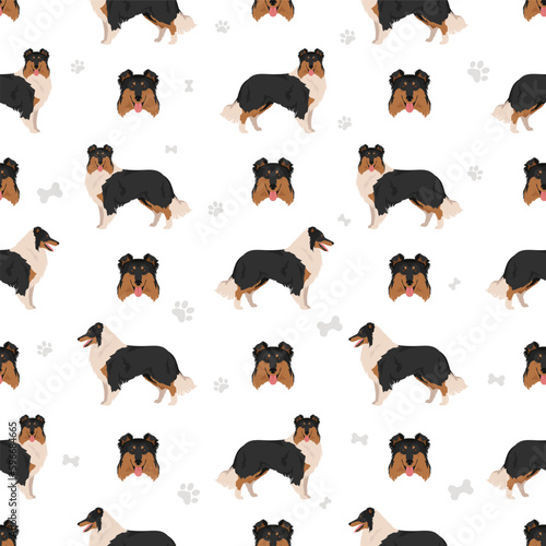 Rough collie seamless pattern. Different poses, coat colors set