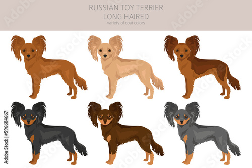 Russian toy terrier longhaired clipart. Different poses, coat colors set