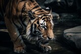 Tiger quenching thirst. Generative AI