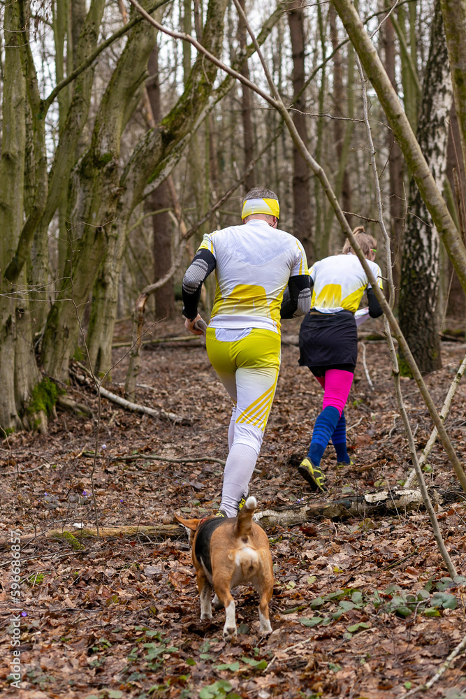 Young couple wearing sportswear and a dog running through a forest - obrazy, fototapety, plakaty 