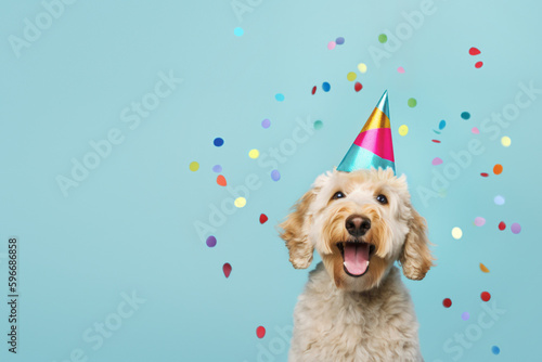 Happy cute dog celebrating at a birthday party