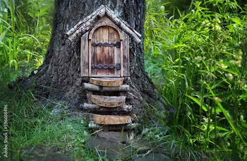 Papier peint magic wooden fairy door in tree trunk, abstract natural background