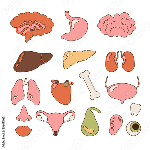 Set of human internal organs - brain, heart, liver, kidneys, uterus, eye, bone etc. Contour simple vector illustration.