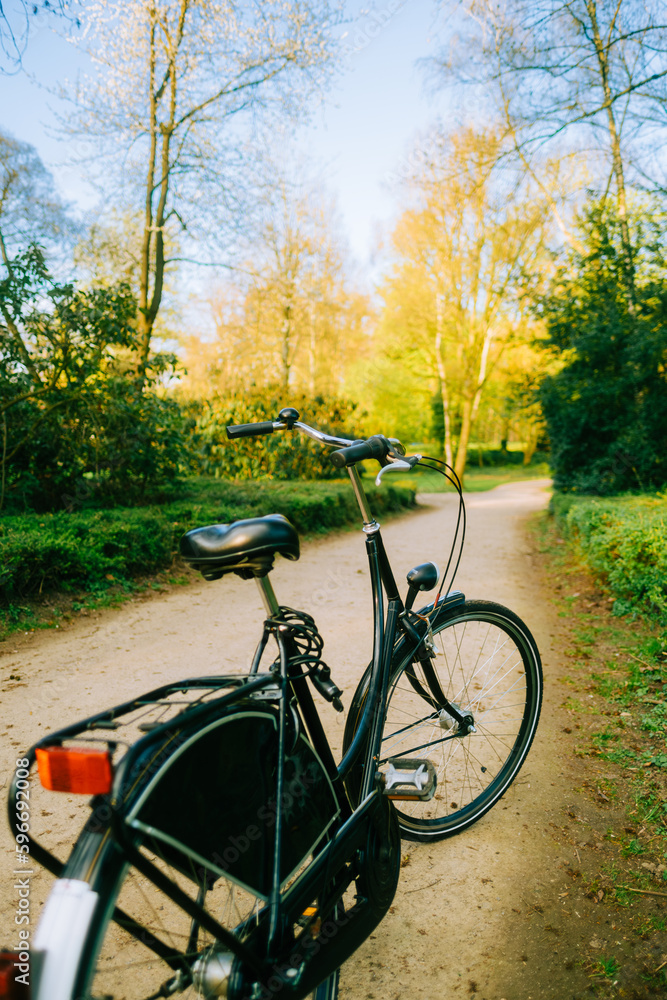 Bicycle on a road in a park in sunny spring day. 