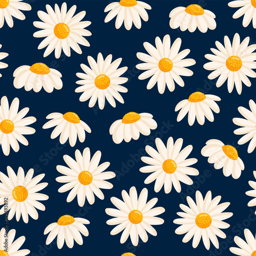 Seamless pattern with blooming daisies. Chamomile vector floral illustration for postcard, poster, fabric, wrapping paper, decor etc. Flowers for spring and summer holidays. © Irina Anashkevich