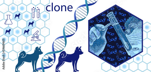 Cloner son fidèle compagnon, fiction ou réalité de demain ? - illustration avec un chercheur dans son laboratoire, des chiens, un ruban ADN et des modules cellulaires.