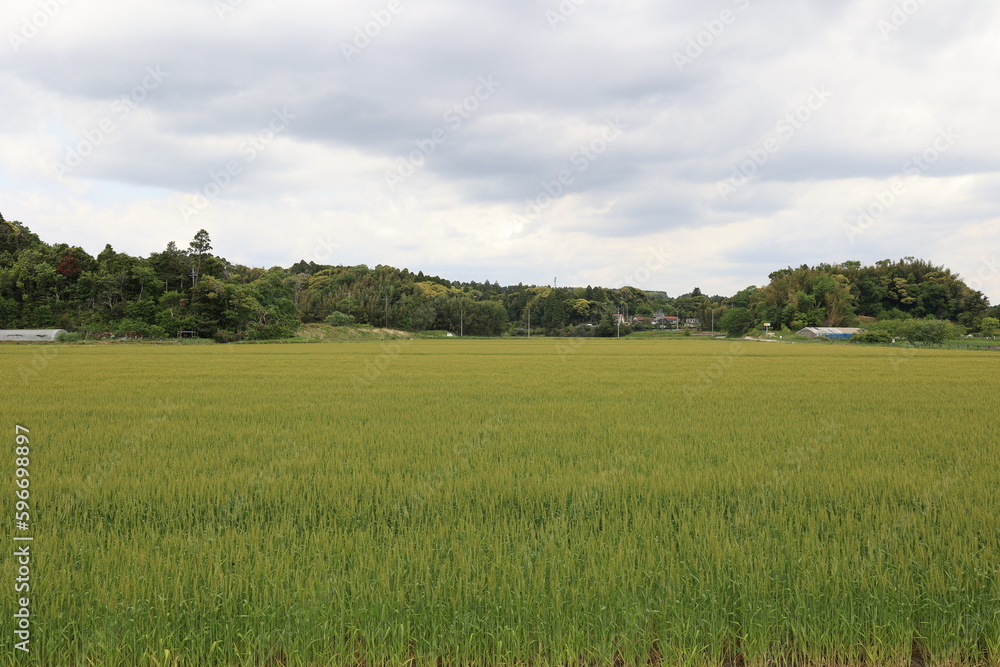 田園風景