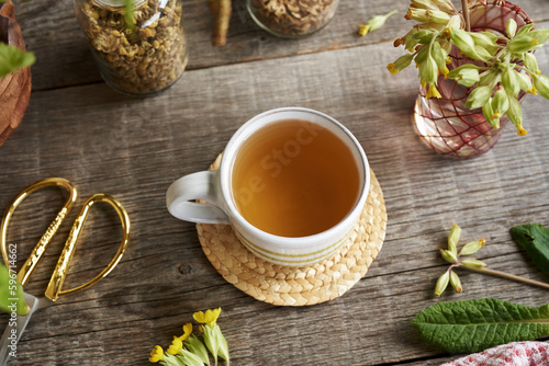 Tableau sur toile A cup of herbal tea with cowslip or primula flowers