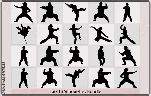 silhouettes of people practicing Tai Chi,Martial Art Kung Fu Tai Chi Self Defense Exercise Fight Master People Man,Tai Chi Chuan man silhouette vector photo