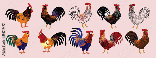 Set of chicken hen rooster icon character hand drawn vector illustration. Pet poultry farm animal symbol.