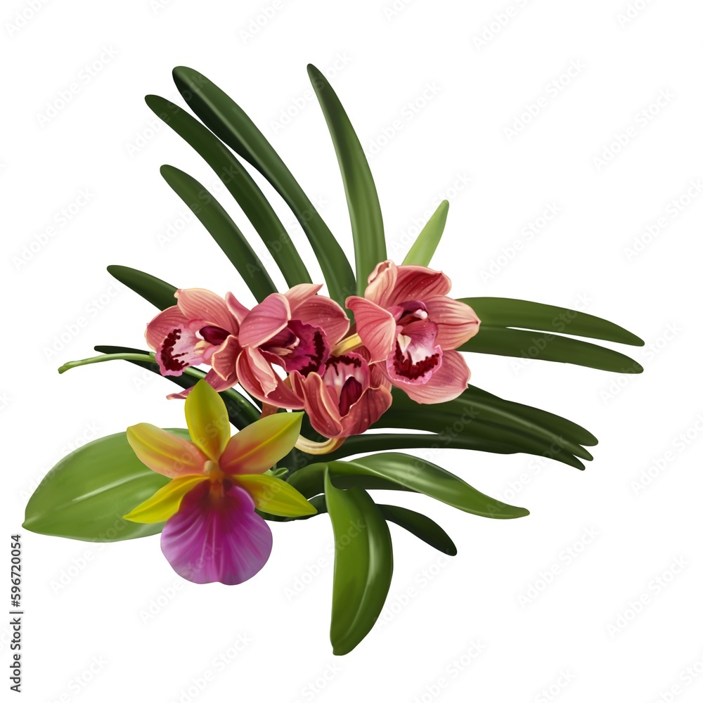 Fototapeta premium Watercolor bouquet of orchids. Realistic flowers of cymbidium, phalaenopsis and Paphiopedilum
