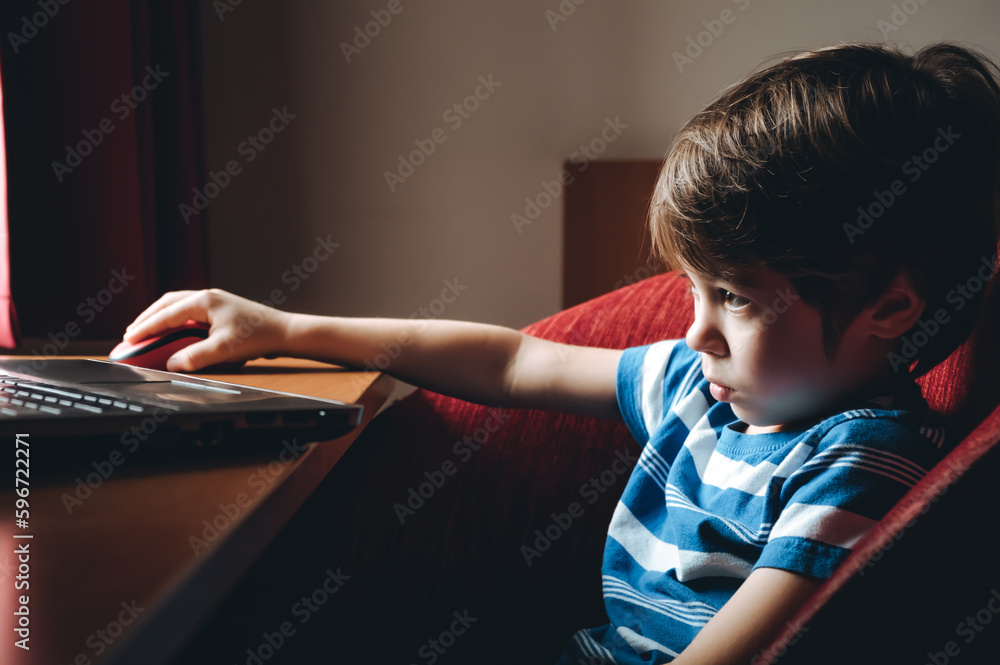 6 year boy looking at the laptop screen. Uses mouse. Watching cartoons ...