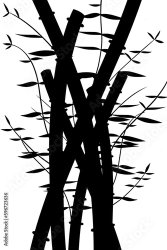 silhouette of bamboo