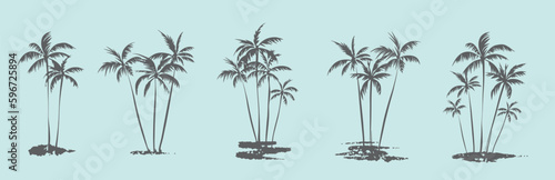 Palm trees. Textured ink brush drawing