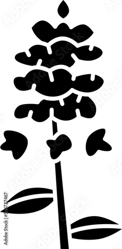 anise  icon