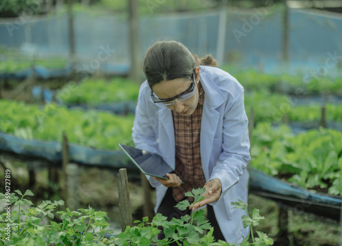 To assess the efficiency of modern greenhouse farming management, agricultural research expert inspect and collect data on crops, water, air, and insects. Performing regular laboratory procedures.